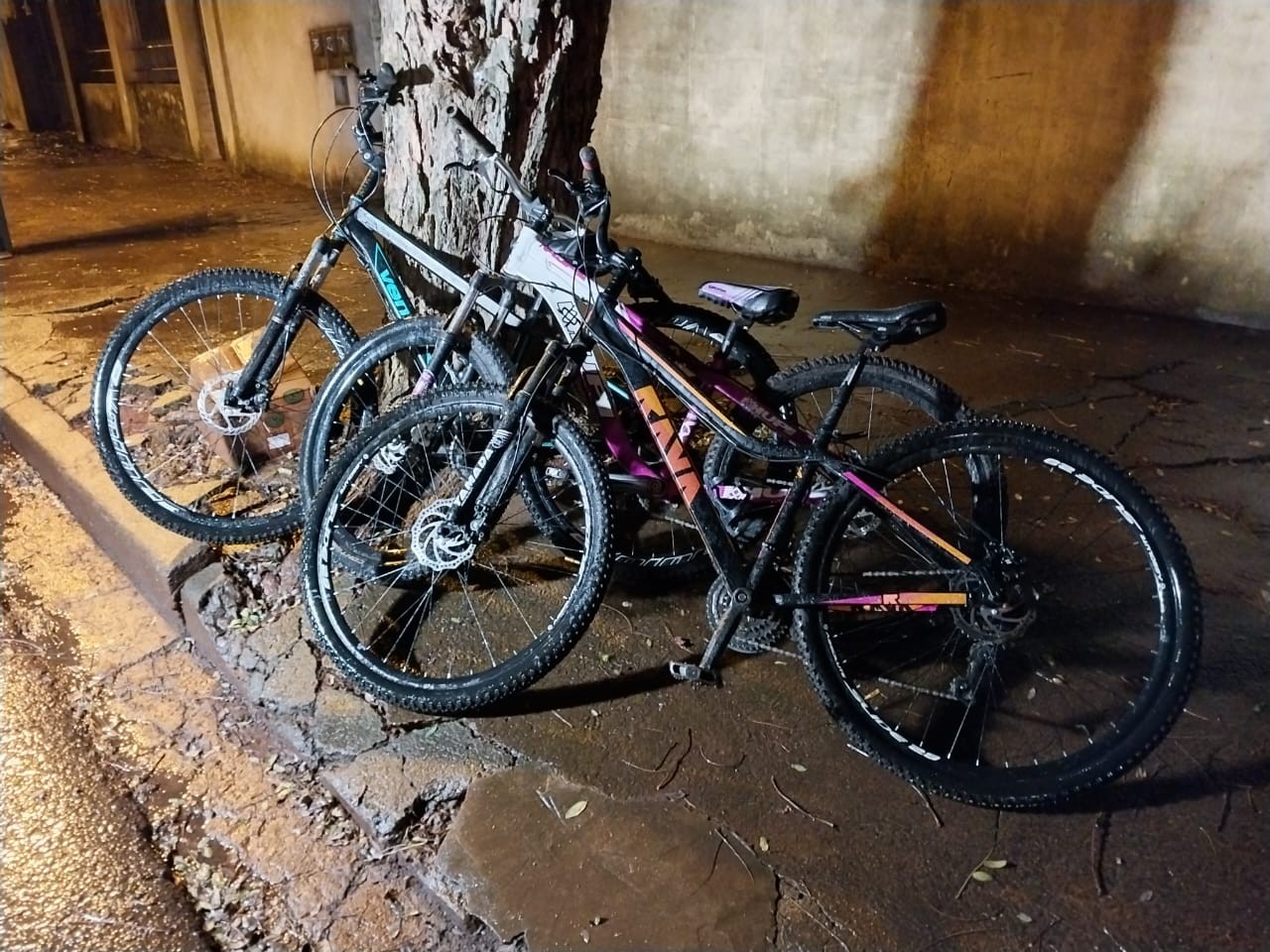 Bicicletas localizadas na casa | Foto: GMC Online
