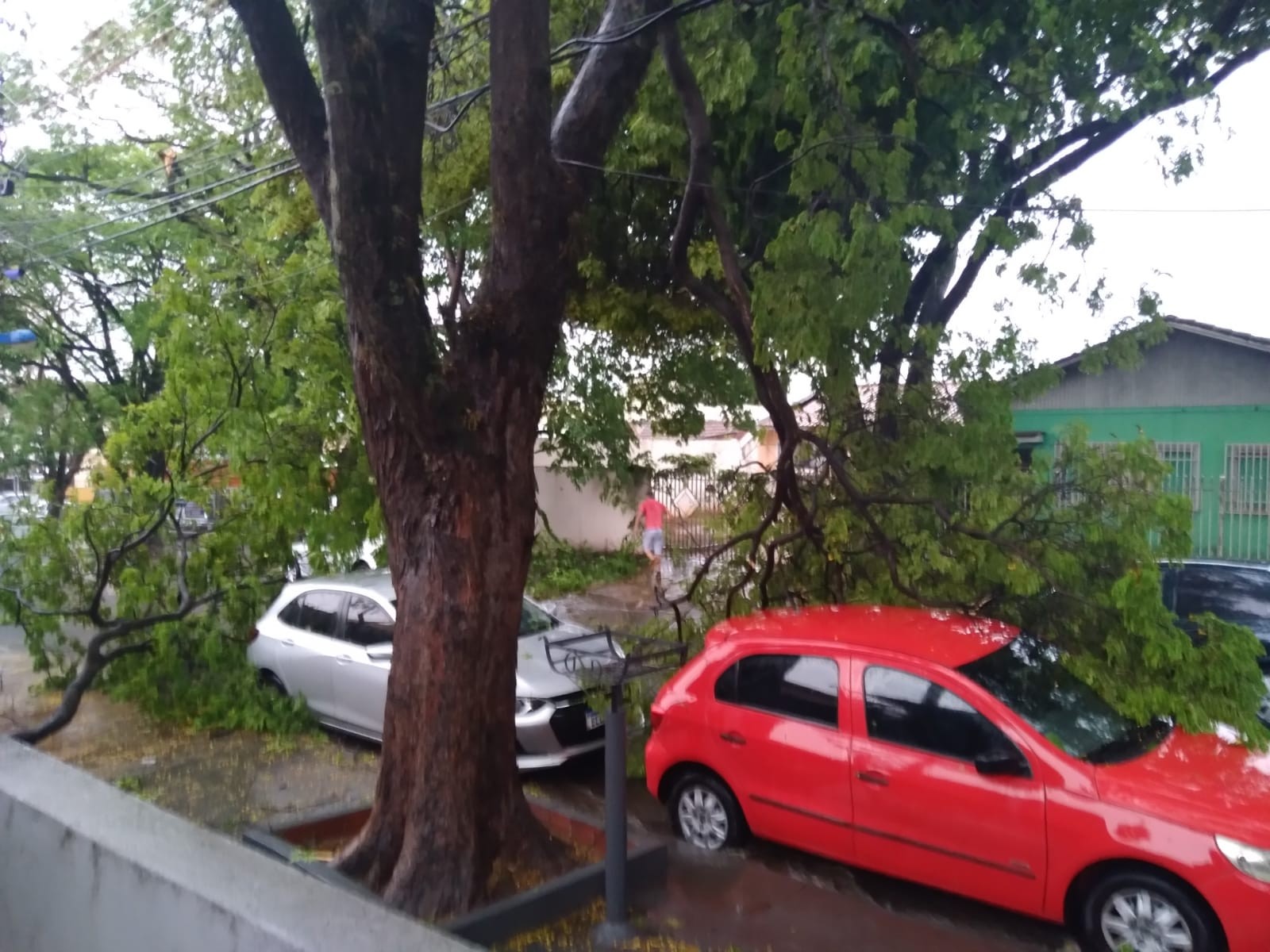 Na Rua Uruguai, no Jardim Alvorada, galhos de uma árvore antiga caíram e deixaram estragos (Fotos enviadas pelo ouvinte Rogério Gonçalves)