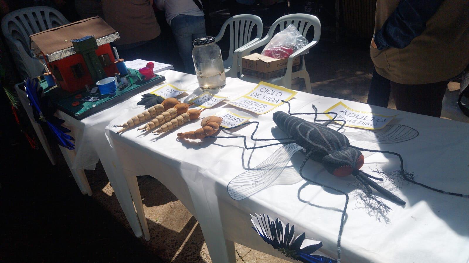 Foto: Luciana Peña/CBN Maringá