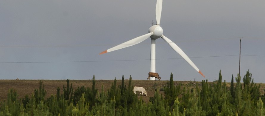 Estudo aponta Paraná como modelo mundial em desenvolvimento sustentável