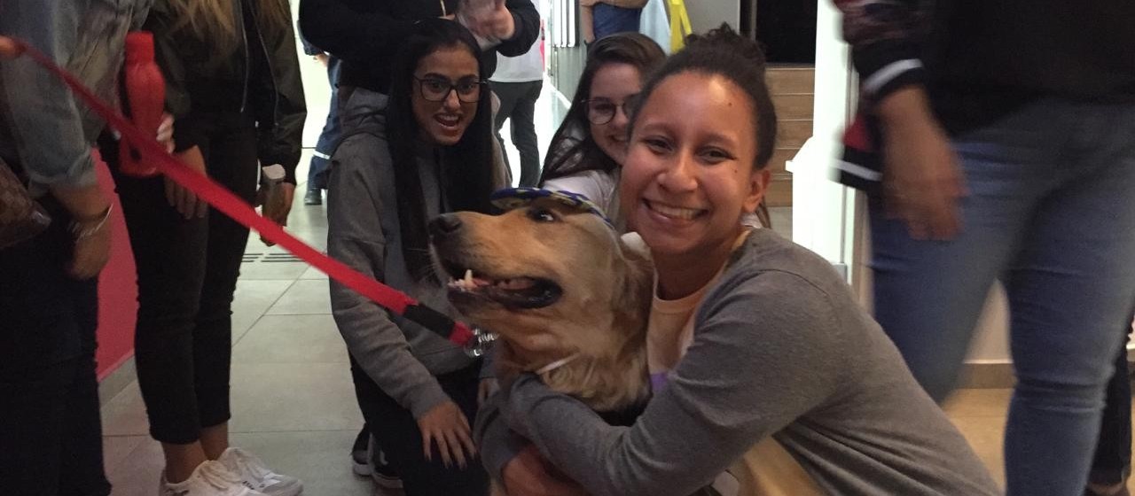 No Dia Internacional do Abraço cão terapeuta visita estudantes