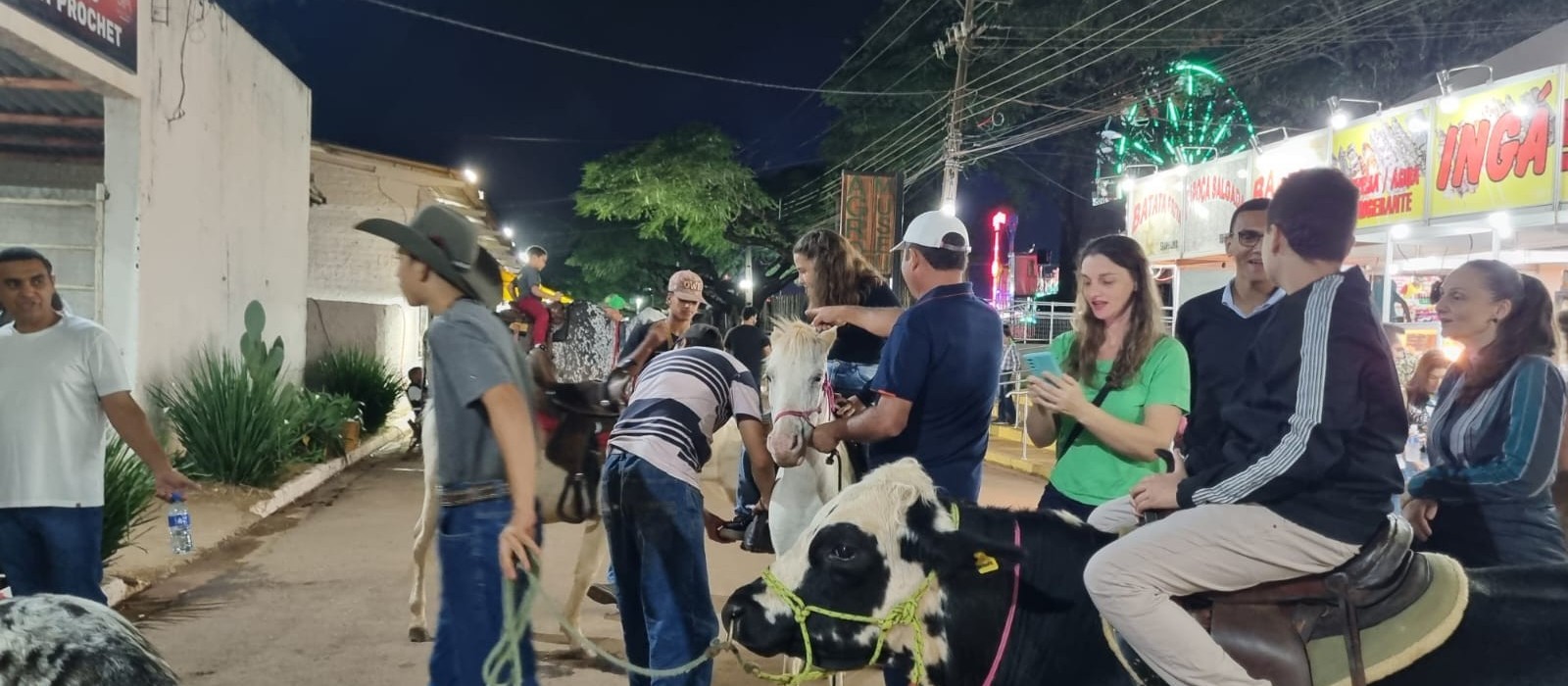 Bois e pôneis fazem sucesso entre as famílias  