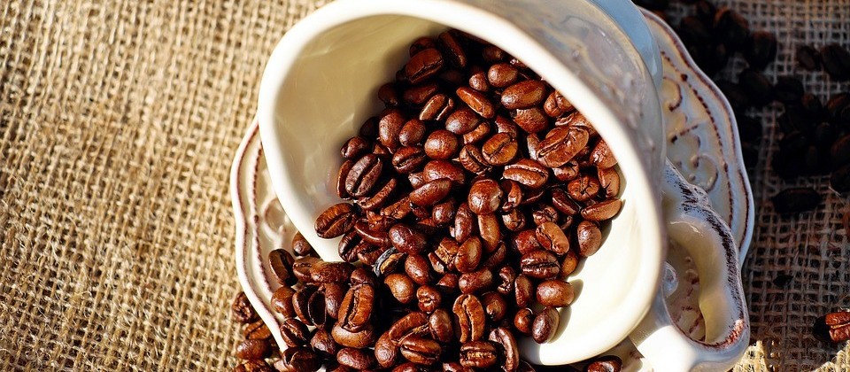 Preço baixo do café preocupa agricultores
