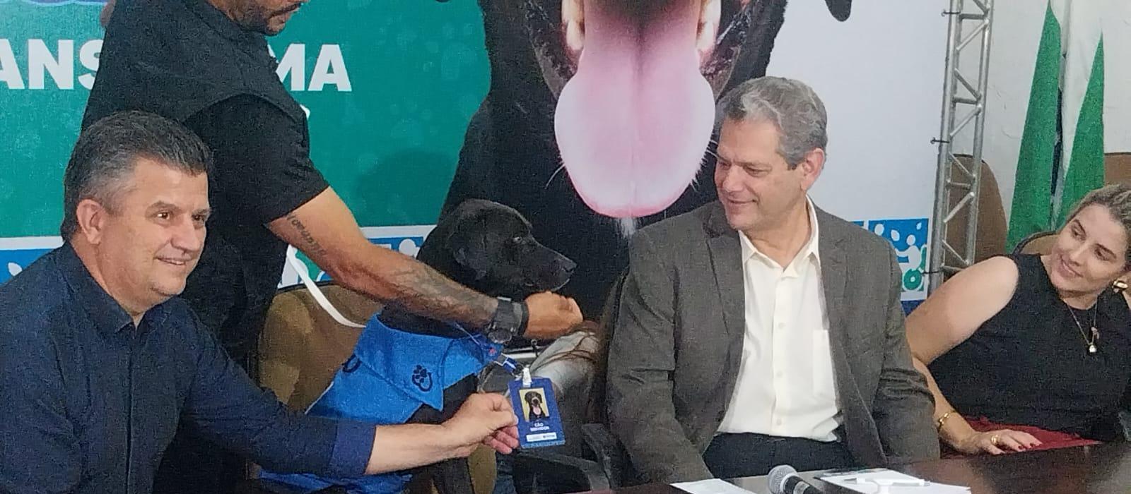 Cão servidor: prefeitura apresenta novo contratado; projeto terá parceria com Deppen