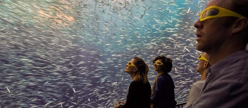 Museu mostra vida oceânica em 3D