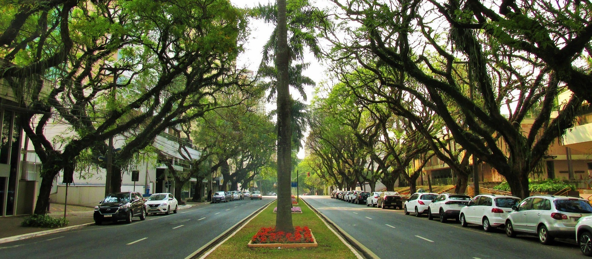 Confira como fica o tempo em Maringá nesta quinta-feira (3)