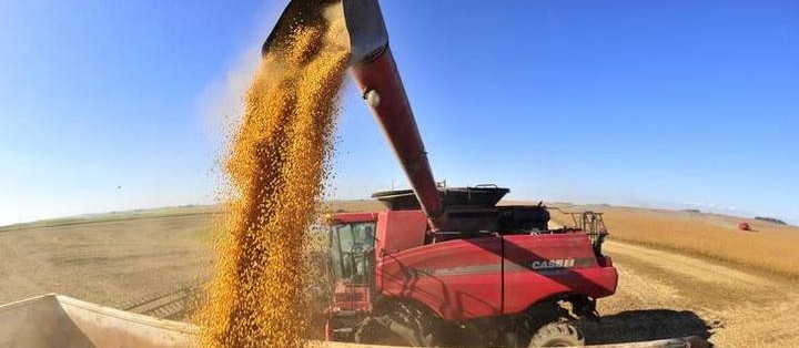 Preço de grãos têm alta no Paraná