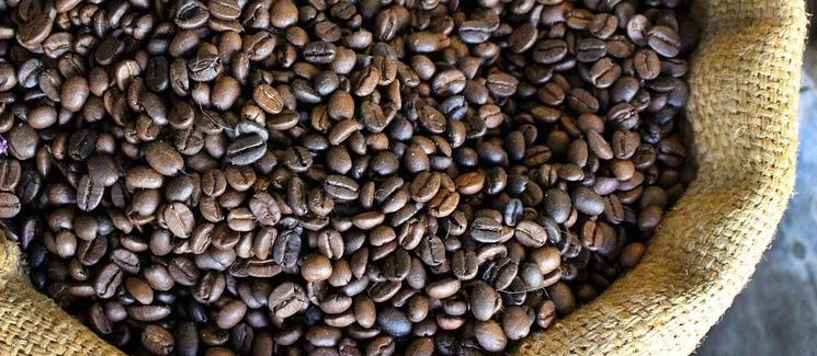 Café em como custa R$ 6,90 kg em Maringá