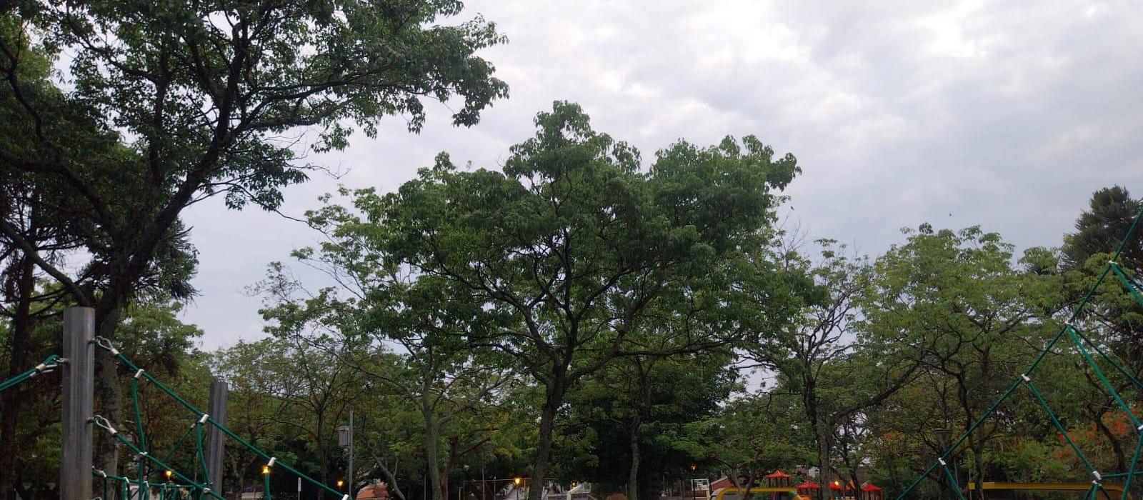 Sábado (19) com previsão de chuva em Maringá