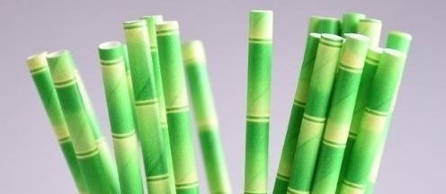 Canudos de bambu substituem os de plástico