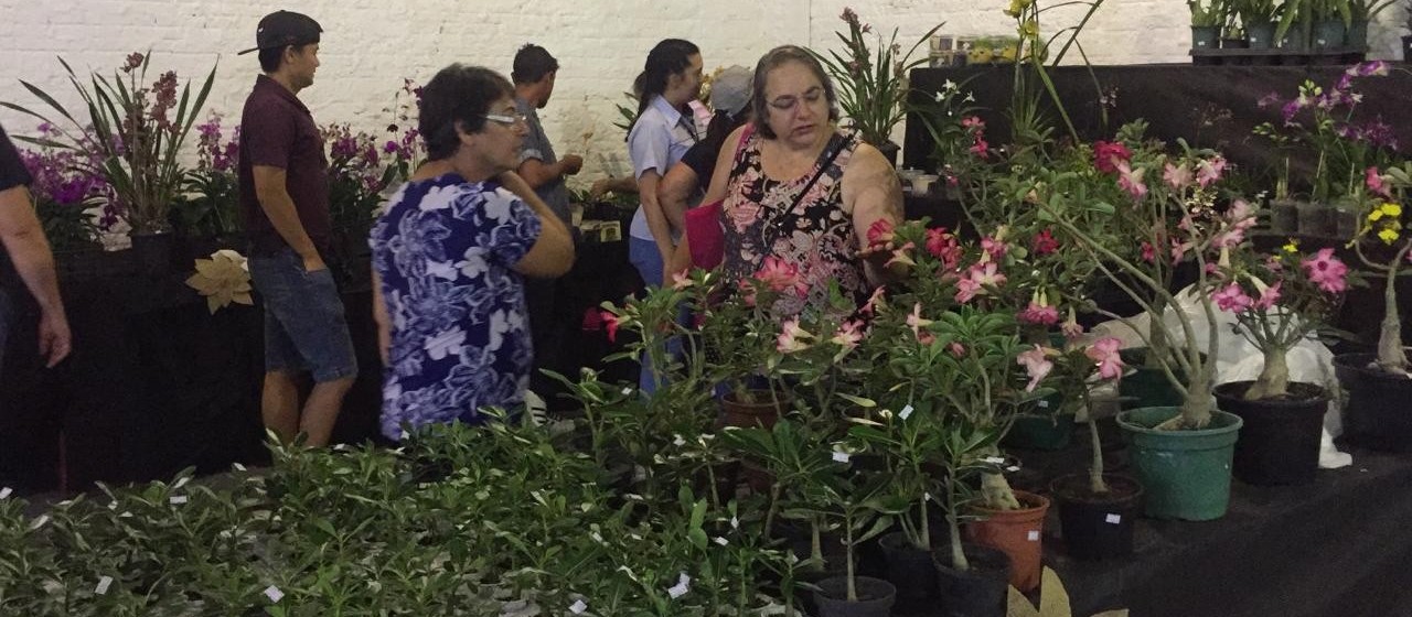 Feira regional de produtores de flores muda de local na Expoingá