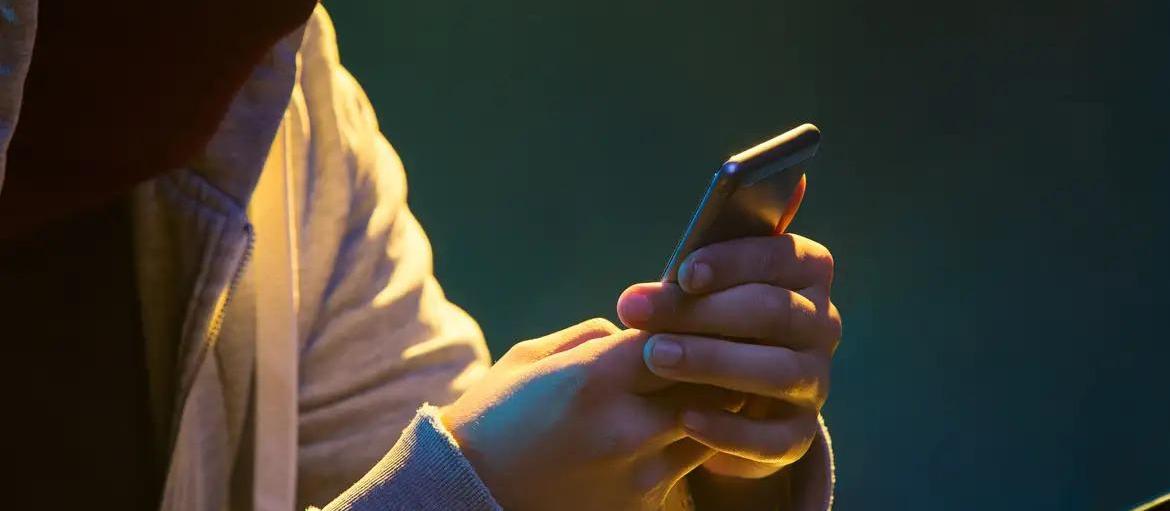 Entenda como agem os golpistas que usam o nome do Portal GMC Online