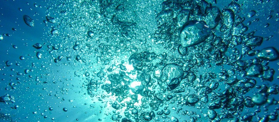 Gilson Aguiar: 'água é a vida da Terra'