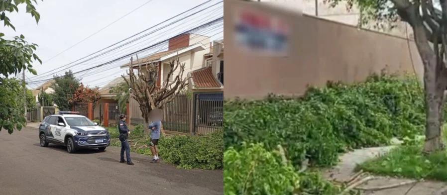 Homem é flagrado fazendo poda irregular de árvore em Maringá