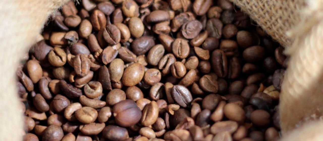 Safra de café de 2019 já colhida é estimada em 50mi de sacas de 60Kg