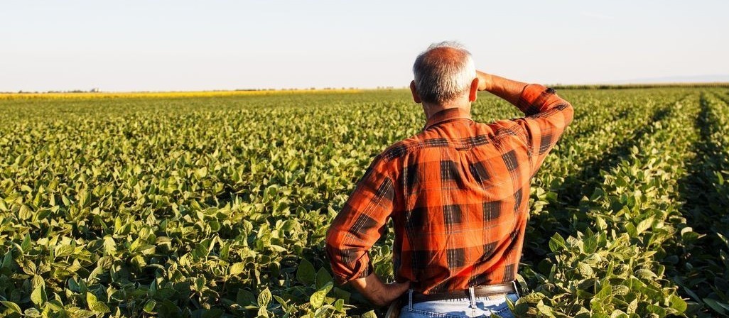 No campo, produtores rurais estão cada vez mais conectados
