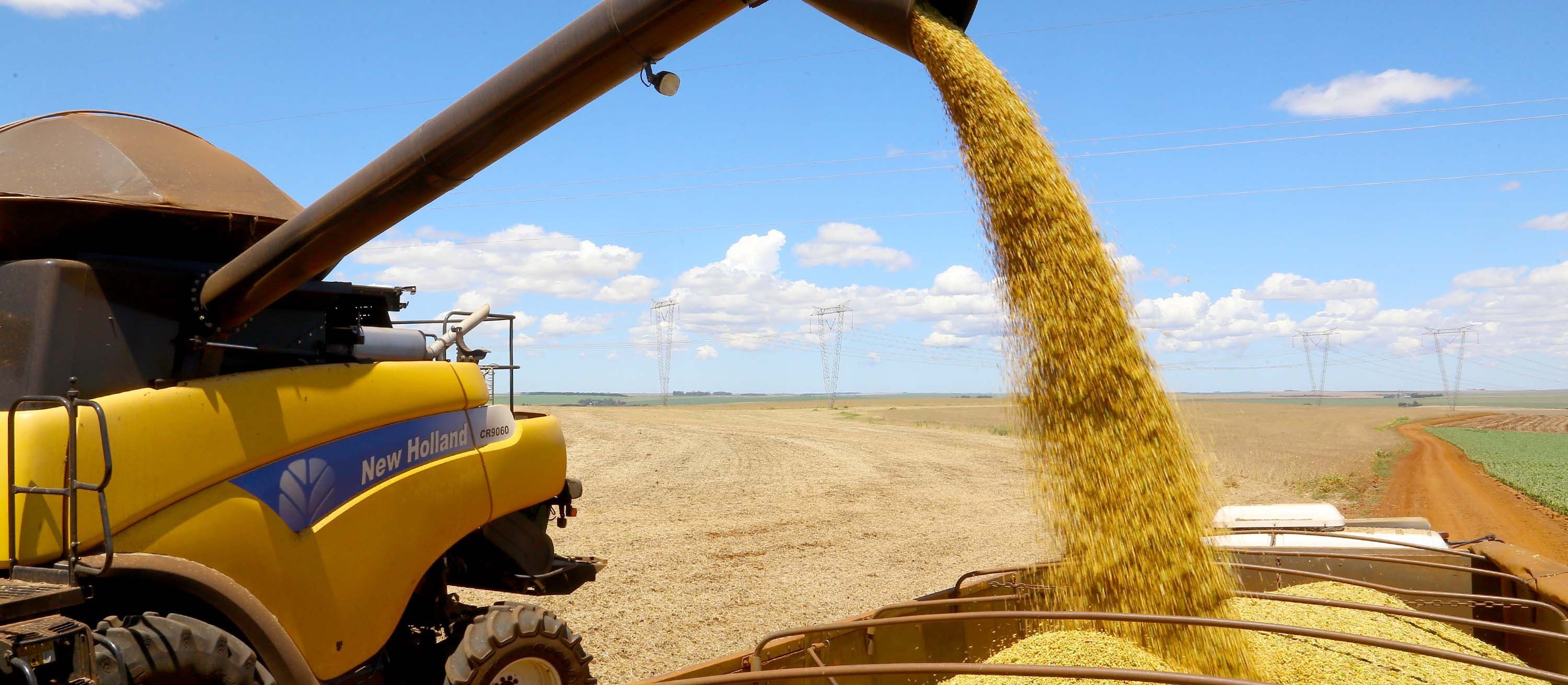 Safra de grãos deve ser 38% maior no Paraná, estima Deral