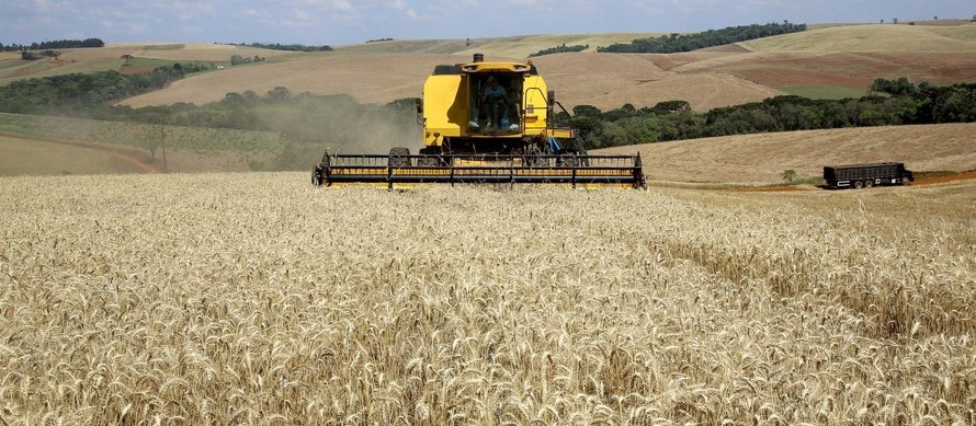 Tecnologia aplicada ao campo beneficia cultivo do trigo