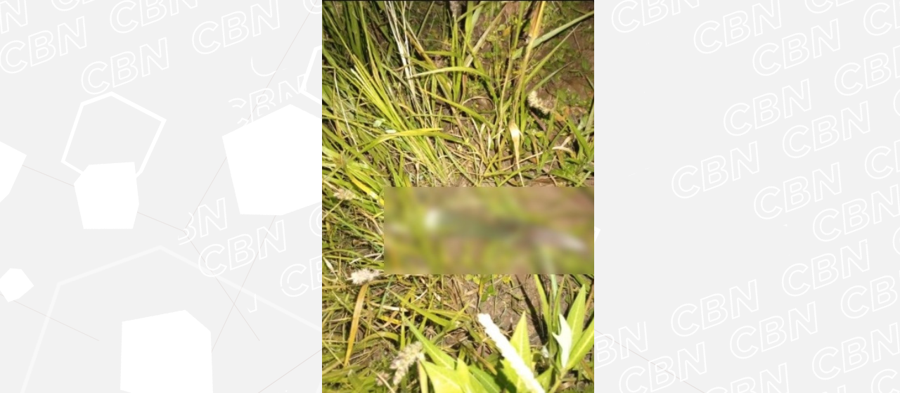 Filho esfaqueia pais e é encontrado ferido em Iporã