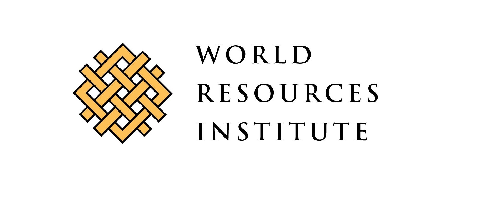 WRI Brasil cria seminário online Ruas Completas e Universidades