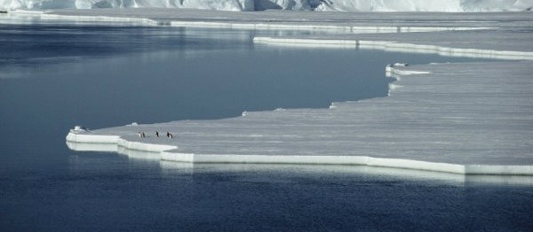 Degelo do ártico permite navegação de forma mais curta