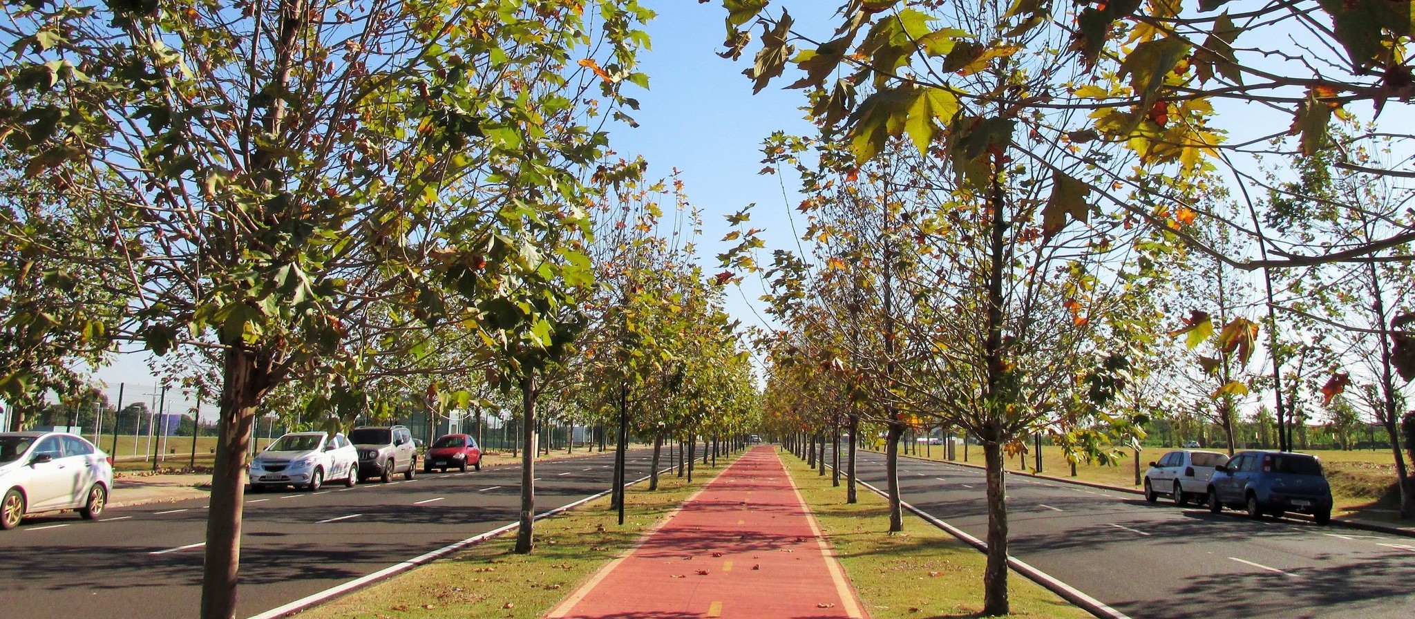 Máxima deve chegar a 33º C em Maringá nesta quarta-feira (21)