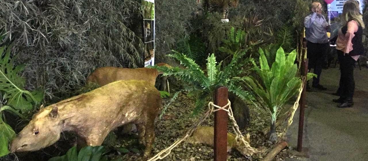 Polícia Ambiental monta museu de animais taxidermizados na Expoingá