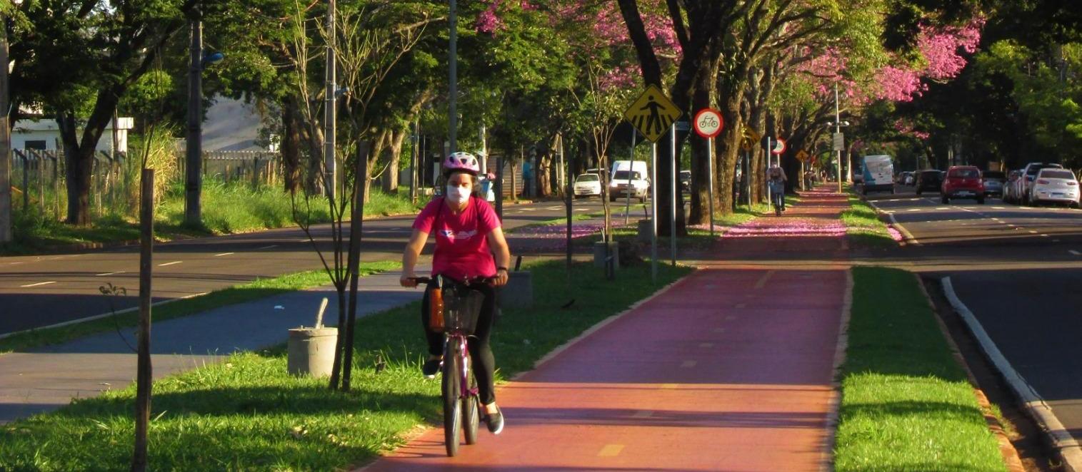 Maringá é a única cidade do Paraná com contador automático de bikes