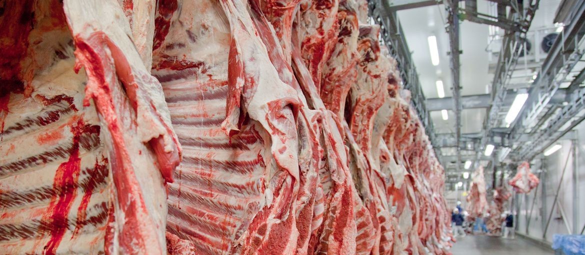 Brasil reduz exportações de carne no mês de janeiro