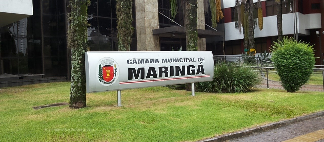 Câmara aprova lei que exige indicação de faixa etária para exposições artísticas em Maringá