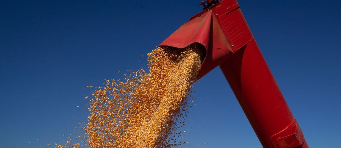 Estimativas de plantio de soja e milho dos EUA ficam abaixo do esperado