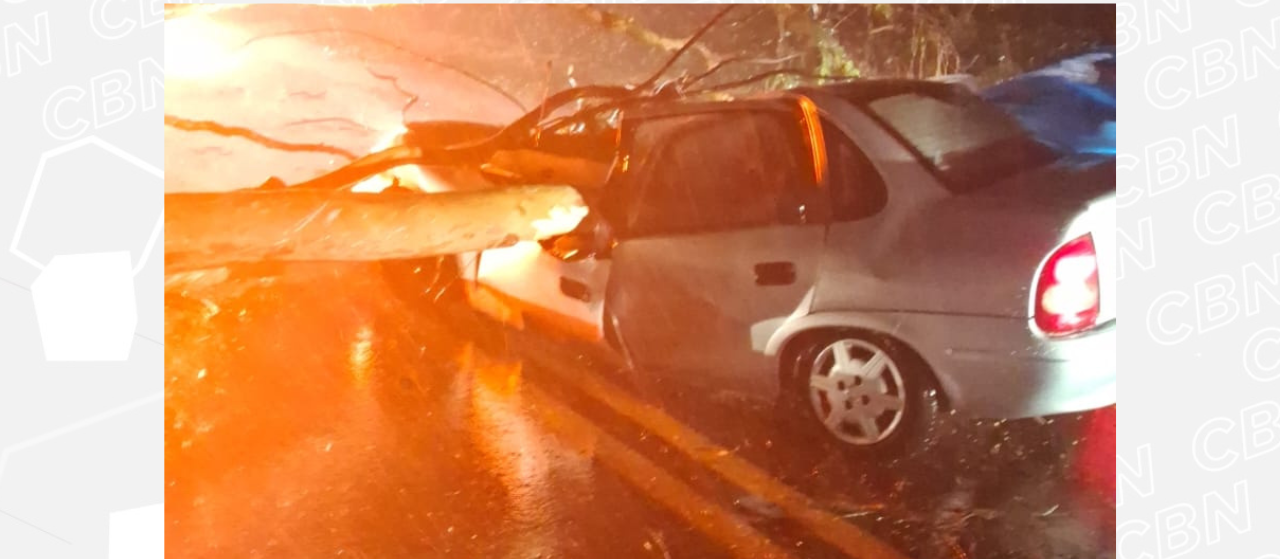 Árvore cai sobre carro em movimento na PR-323