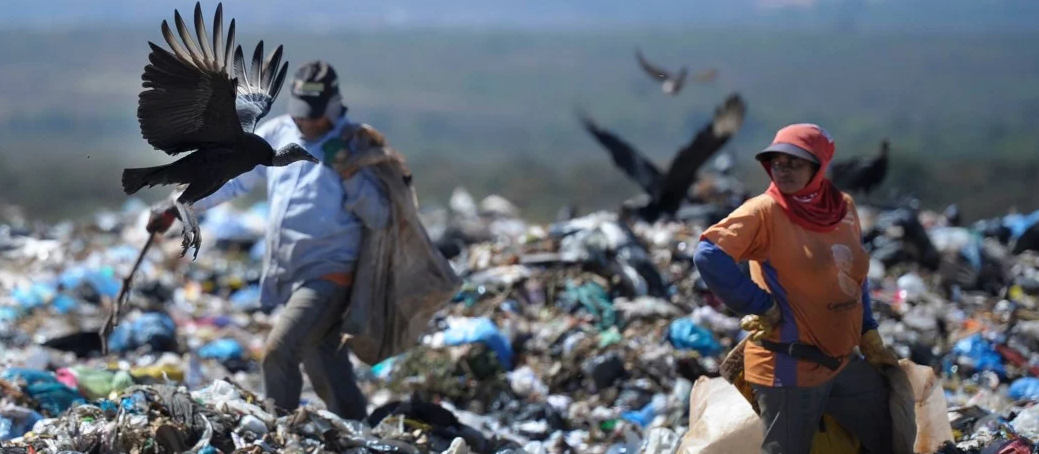 Brasil perde cerca de R$ 3 bilhões ao ano por não reciclar lixo