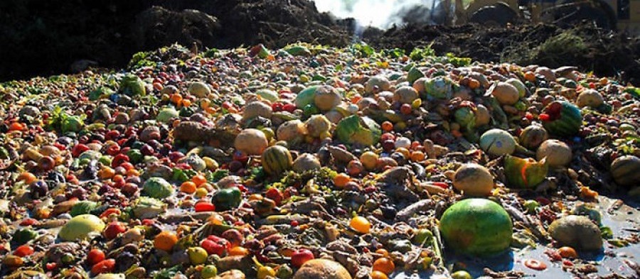 Novo projeto deve reduzir desperdício de alimentos no Paraná