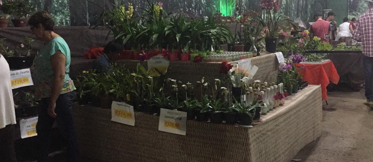 Produtores de flores da região participam da Expoingá