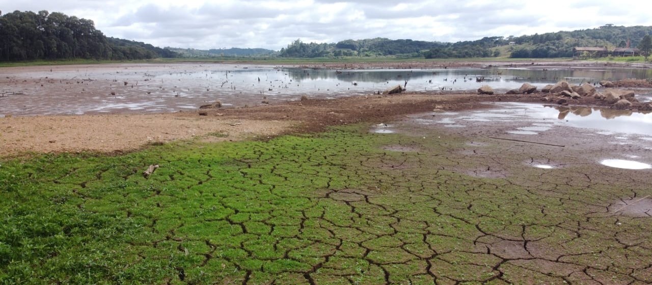 Mapa realiza levantamento de perdas causadas pela seca no Paraná