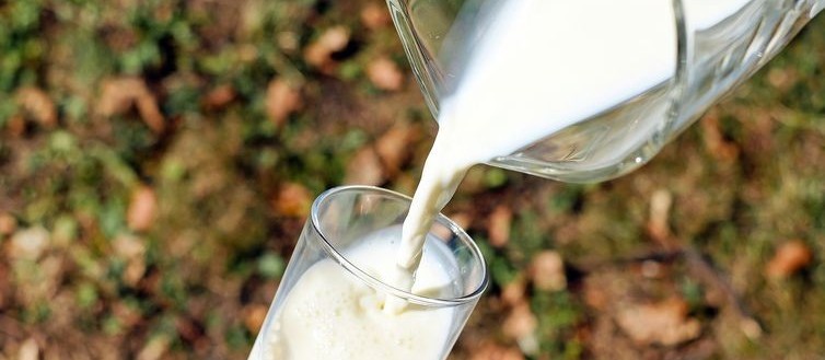 Preço do leite cai 7,9% em julho