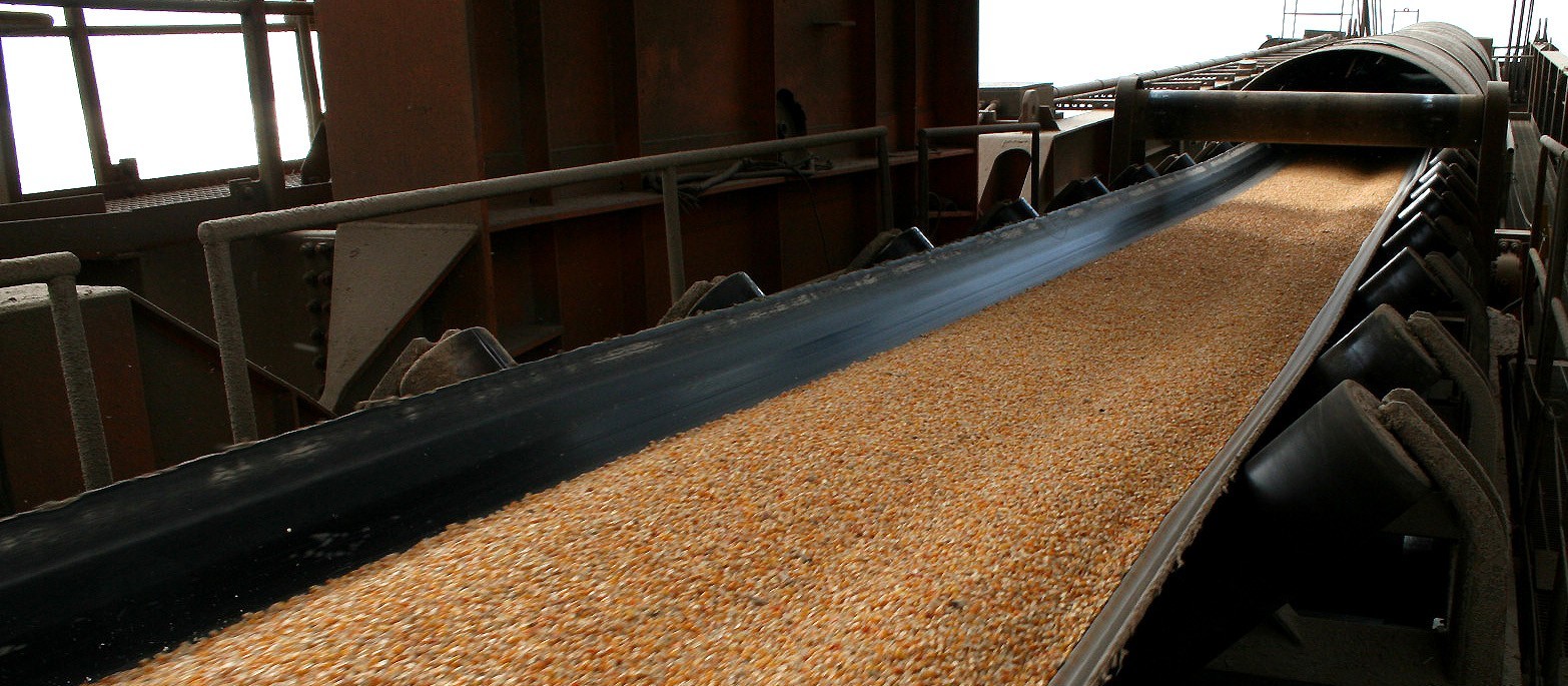Exportações de milho começam apresentando 1,170 mi de toneladas