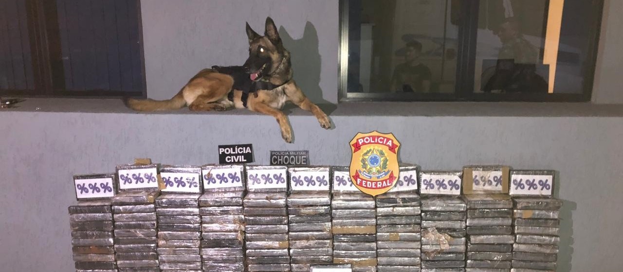 Polícia Federal apreende 233 kgs de cocaína em pó