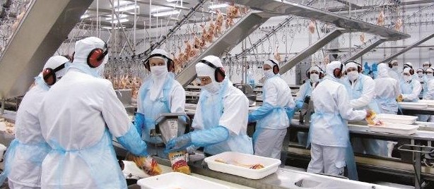 Paraná quer saber posição do Governo Federal em relação à carne de frango produzida no estado