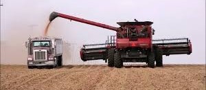 Neve nos EUA atrasa colheita de grãos