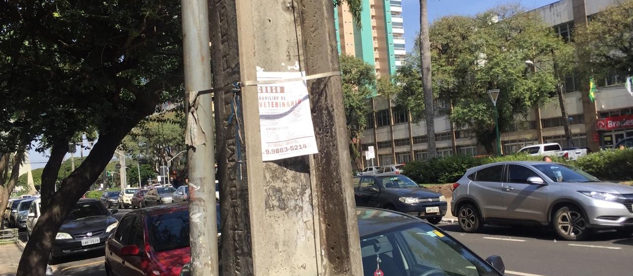 Vereador pede fiscalização para coibir panfletos e cartazes em postes e árvores de Maringá