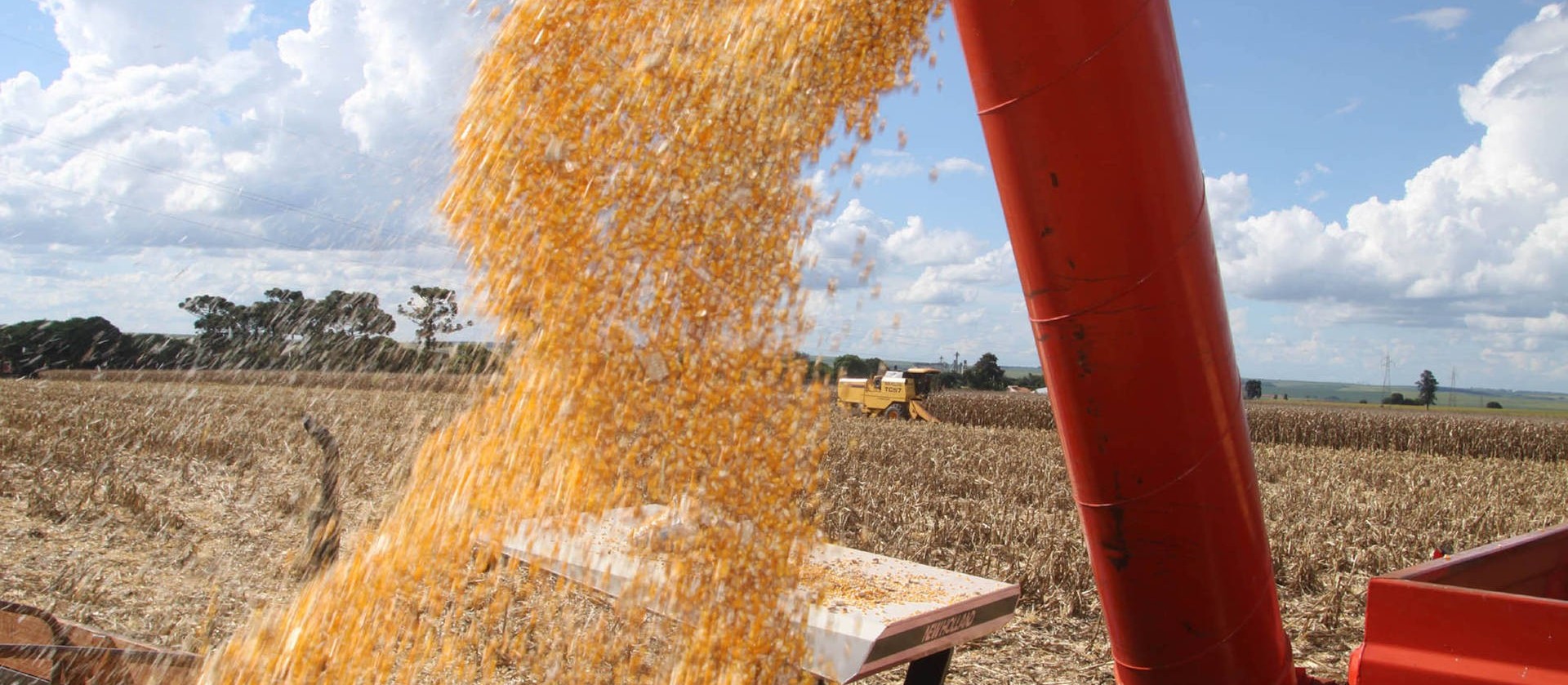 PR: Safra de grãos 2018/19 está sendo encerrada com total estimado de 36,3 mi de toneladas 