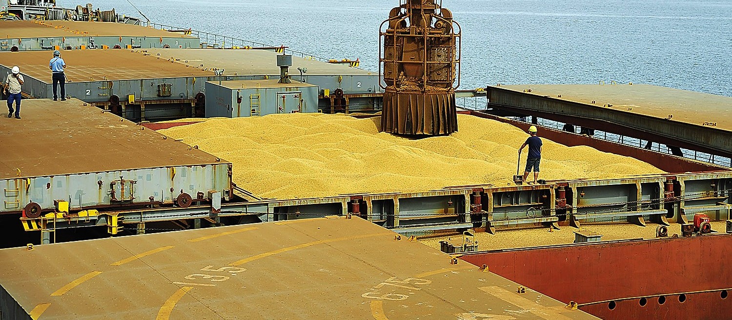 Brasil deve exportar recorde de soja este ano