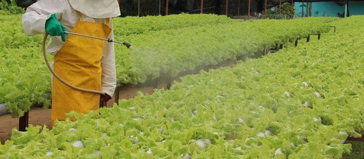 Crime organizado entra no contrabando de pesticidas