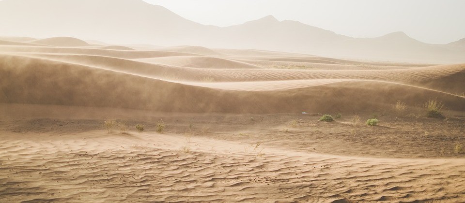 Caixa coleta água no ar do deserto