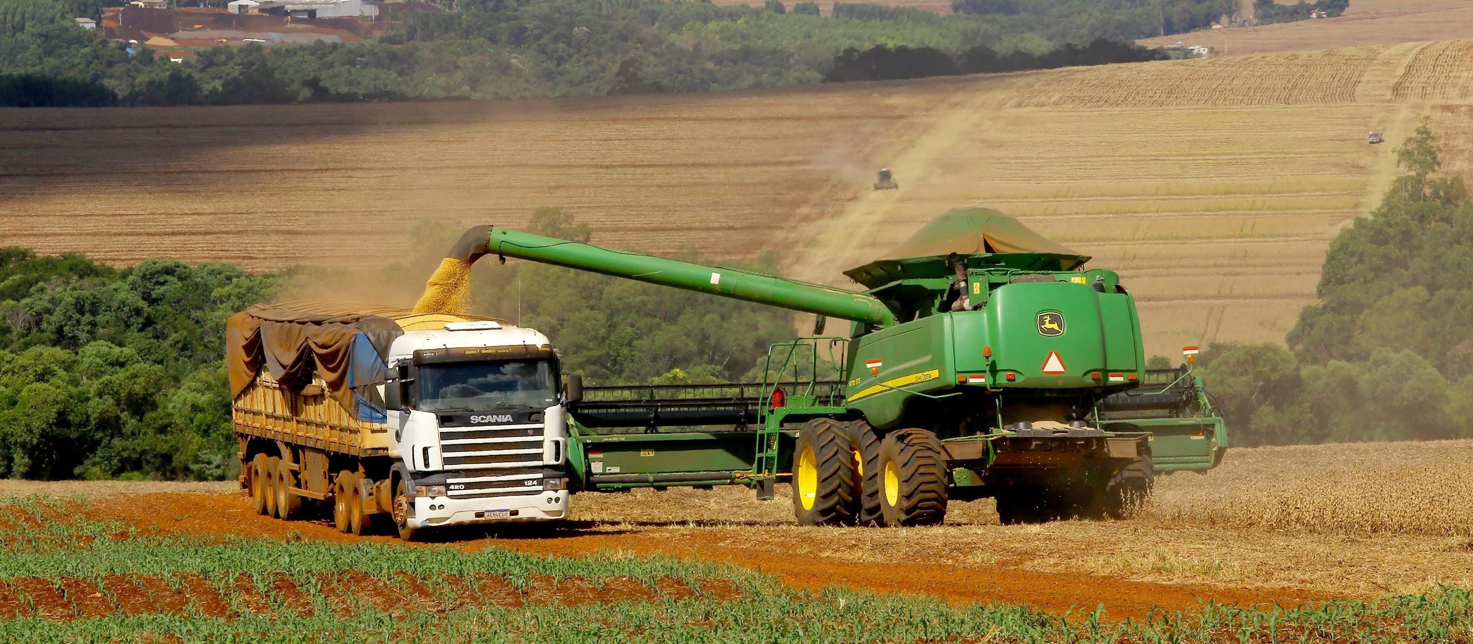 Safra de grãos do Paraná de 2021 e 2022 poderá somar 36,2 milhões de toneladas