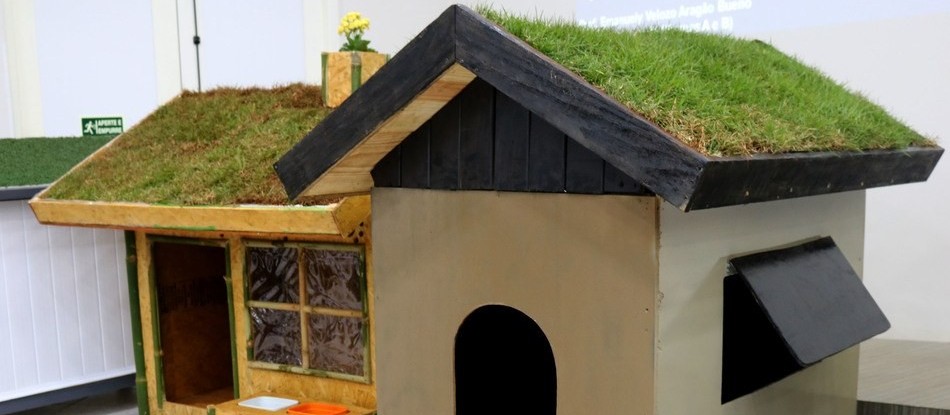 Casas sustentáveis para cachorro 