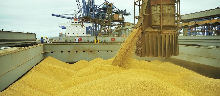 Brasil é o terceiro maior exportador agrícola do mundo