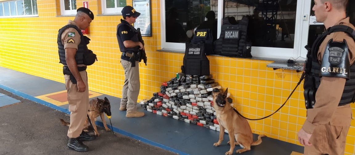 Com ajuda de cães farejadores, PRF apreende 158 Kg de cocaína